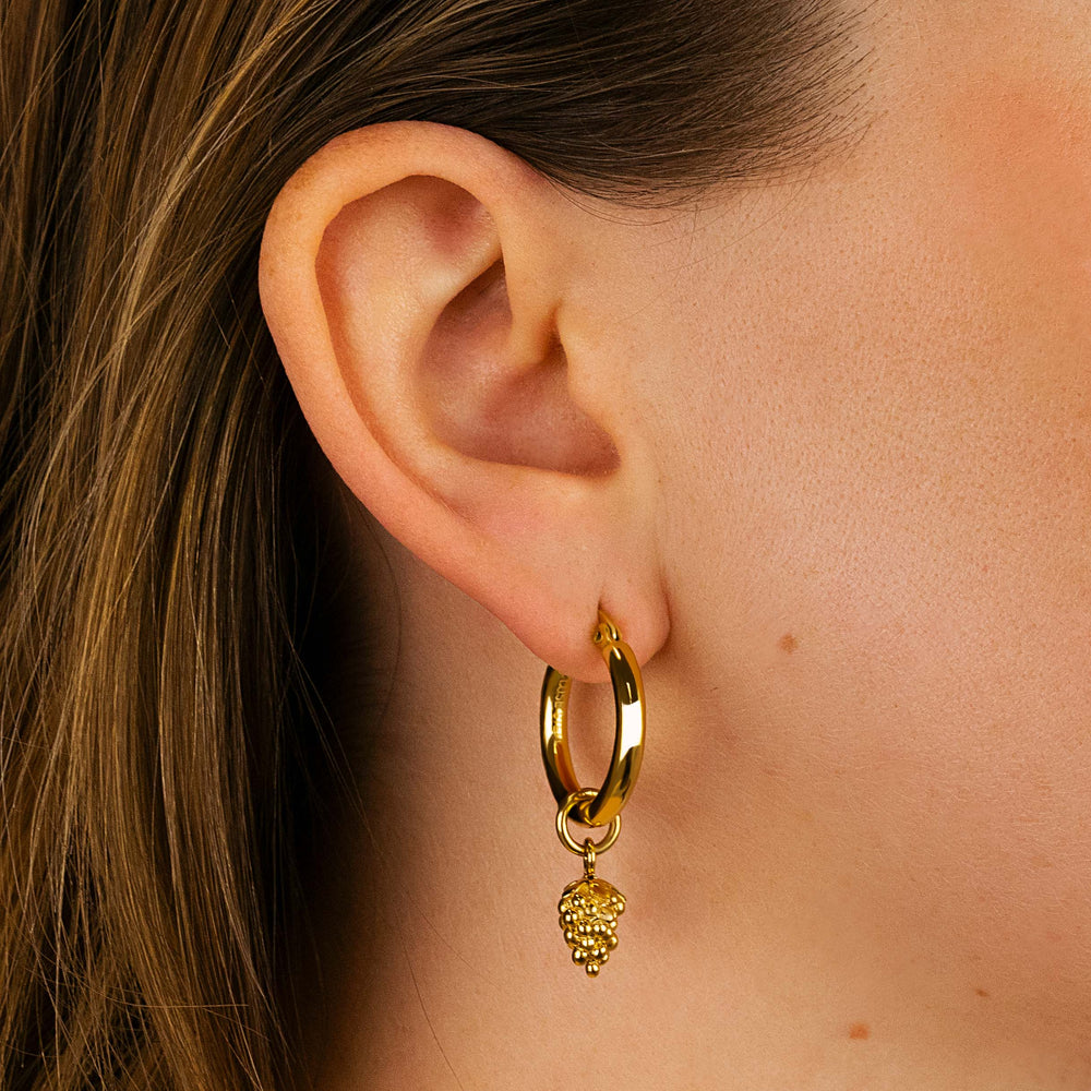 Essentielle Grape Charm Hoop Earrings, Gold Colour CE13329 - Earrings on model